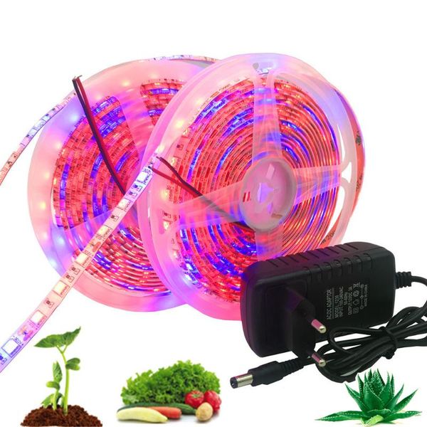 grow lights dc 12v waterproof growing strip plant growth light set with power adapter dimmer switch 1m 2m 3m 4m 5m
grow lights dc 12v waterproof growing strip plant growth light set with power adapter dimmer switch 1m 2m 3m 4m 5m