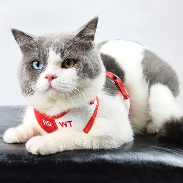 cat collars & leads pet items chest strap suede dog leash breathable reflective vest buckle design adjusts the size of
cat collars & leads pet items chest strap suede dog leash breathable reflective vest buckle design adjusts the size of