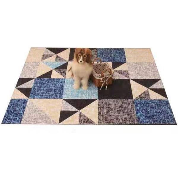 cat mat on the floor dog carpet does not stick hair bite sleep kennel with bedroom pet four seasons kennels & pens
cat mat on the floor dog carpet does not stick hair bite sleep kennel with bedroom pet four seasons kennels & pens