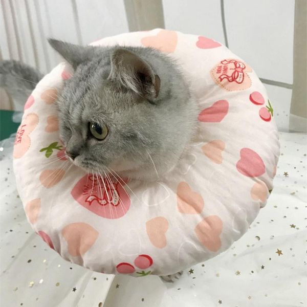 cat collars & leads pet cotton elizabeth protective recovery collar for preventing licking wound double sides available
cat collars & leads pet cotton elizabeth protective recovery collar for preventing licking wound double sides available