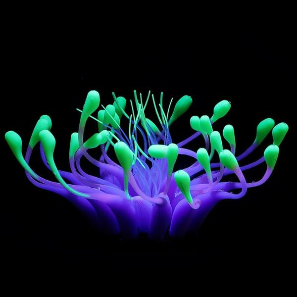 decorations fake simulation gift background for aquarium home silicone artificial coral glowing effect landscape decor craft fish tank
decorations fake simulation gift background for aquarium home silicone artificial coral glowing effect landscape decor craft fish tank
