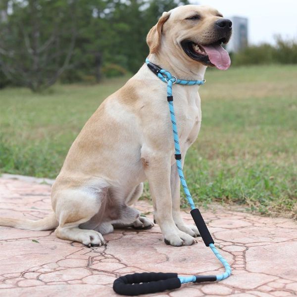 large dog reflective rope lead leash 5 color nylon basic leashes medium walking big collar for labrador rottweiler collars &
large dog reflective rope lead leash 5 color nylon basic leashes medium walking big collar for labrador rottweiler collars &