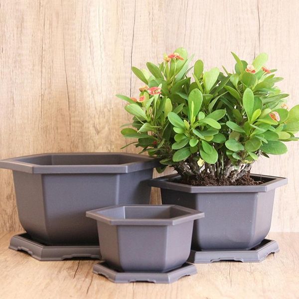 planters & pots hexagonal flower pot, indoor and outdoor modern decorative planter for all house plants, flowers, herbs
planters & pots hexagonal flower pot, indoor and outdoor modern decorative planter for all house plants, flowers, herbs