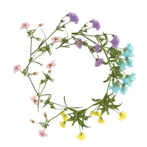 xiacao embossed plant specimen drop glue mobile phone case diy p frame material dry flower real bride makeup festival gift design
xiacao embossed plant specimen drop glue mobile phone case diy p frame material dry flower real bride makeup festival gift design