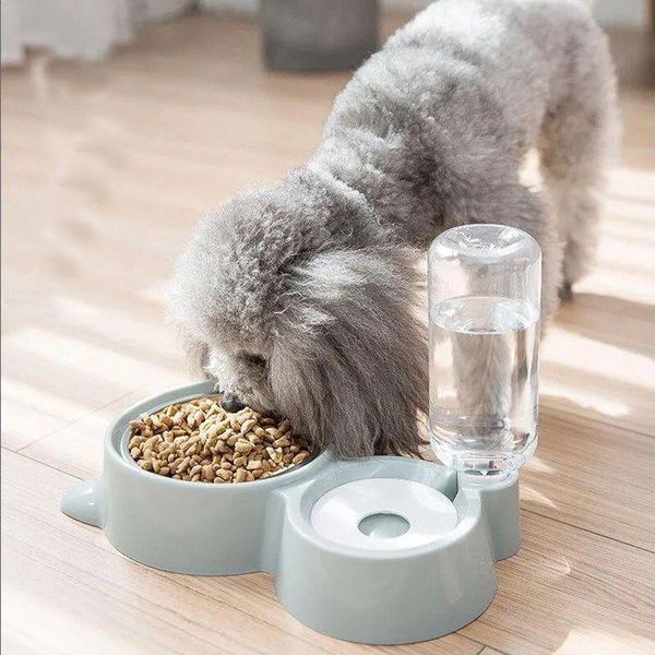 automatic pet cat dog feeder bowls water dispenser kitten drinking bowl dogs dish stainless steel products & feeders
automatic pet cat dog feeder bowls water dispenser kitten drinking bowl dogs dish stainless steel products & feeders