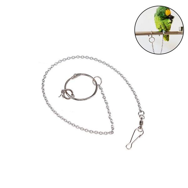 other bird supplies 1pc pet parrot birds leg ring stainless steel ankle foot stand chain outdoor flying training accessories #5#7#8
other bird supplies 1pc pet parrot birds leg ring stainless steel ankle foot stand chain outdoor flying training accessories #5#7#8
