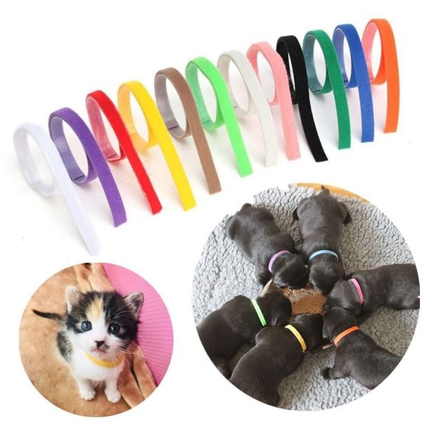 dog collars & leashes 12pcs/lot nylon pet cat identification collar adjustable id mark neck strap for dogs cats puppy accessories
dog collars & leashes 12pcs/lot nylon pet cat identification collar adjustable id mark neck strap for dogs cats puppy accessories