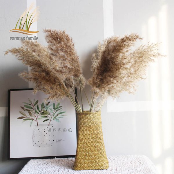 pampas grass decor pume ength 10-14 inches fuffy fowers wedding fowers dried bouquets shop home decor with pastic vase
pampas grass decor pume ength 10-14 inches fuffy fowers wedding fowers dried bouquets shop home decor with pastic vase