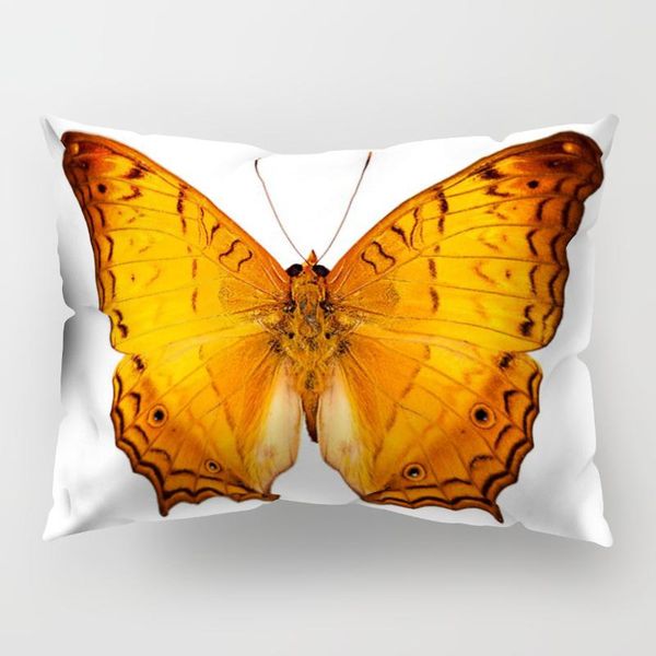 cushion/decorative pillow 30x50cm print butterfly white colot waist cushion cover polyester for car seat throw case decorative
cushion/decorative pillow 30x50cm print butterfly white colot waist cushion cover polyester for car seat throw case decorative