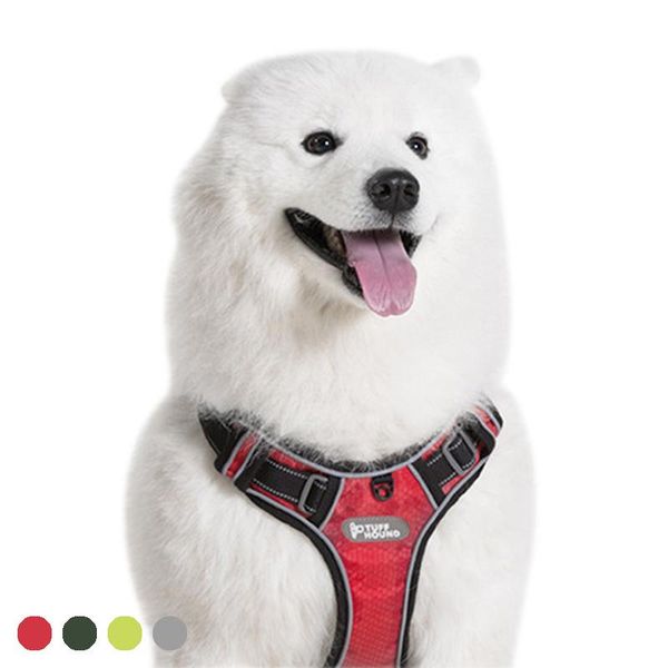 large medium small dog harness leash set puppy cat vest harnesses for adjustable outdoor walking collars & leashes
large medium small dog harness leash set puppy cat vest harnesses for adjustable outdoor walking collars & leashes