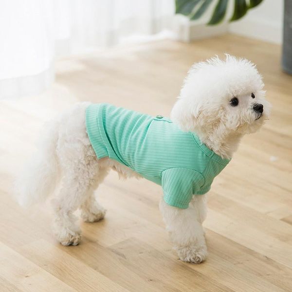 spring and summer pet clothes sweet color thin breathable t-shirt hairless cats small dogs supplies cat costumes
spring and summer pet clothes sweet color thin breathable t-shirt hairless cats small dogs supplies cat costumes