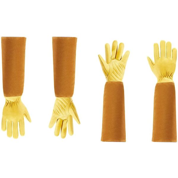 disposable gloves 2 pair gardening for women and men thron proof rose pruning cow leather -m & l
disposable gloves 2 pair gardening for women and men thron proof rose pruning cow leather -m & l