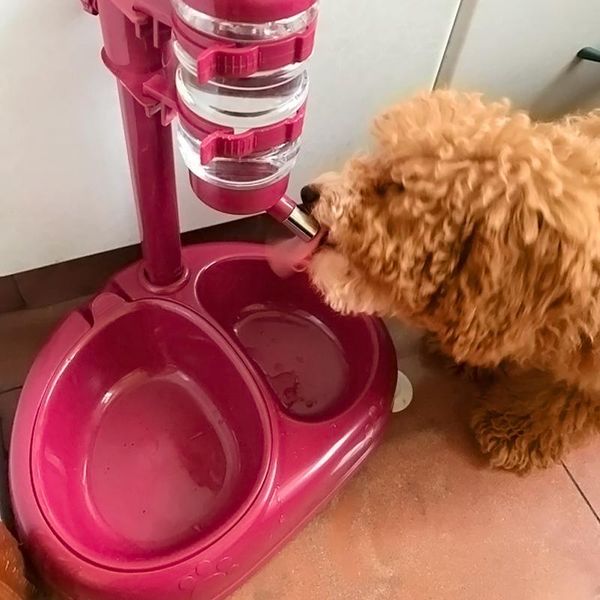 dog bowls & feeders pet bowl feeding automatic machine plastic small dishes puppy bows pets feed container prato cachorro dogs product dd60w
dog bowls & feeders pet bowl feeding automatic machine plastic small dishes puppy bows pets feed container prato cachorro dogs product dd60w