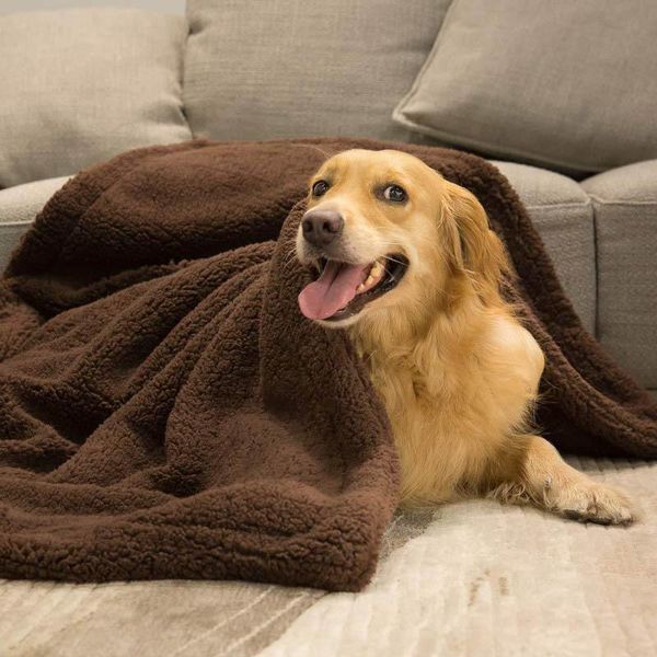 coral fleece pet blanket dog bed cat mat soft puppy kitten winter warm supplies for small medium dogs cats kennels & pens
coral fleece pet blanket dog bed cat mat soft puppy kitten winter warm supplies for small medium dogs cats kennels & pens