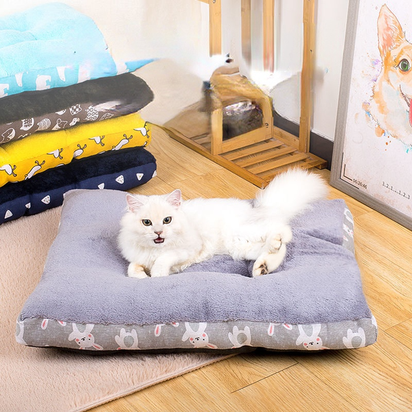 dogs and cats winter pet pad bread mats thickened general soft and comfortable keep bite proof and dustproof
dogs and cats winter pet pad bread mats thickened general soft and comfortable keep bite proof and dustproof