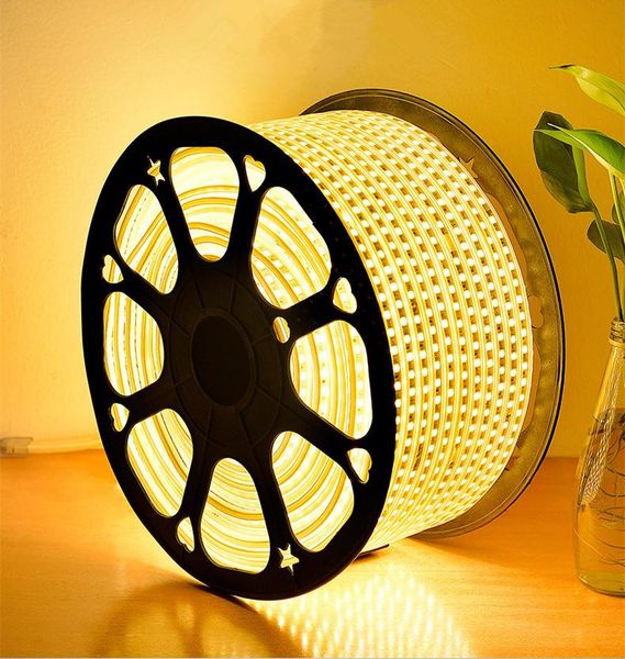 strips led strip light ac220v smd flexible tape 60leds/m waterproof wihte with power plug 1m/2m/5m/6m for home decoration
strips led strip light ac220v smd flexible tape 60leds/m waterproof wihte with power plug 1m/2m/5m/6m for home decoration