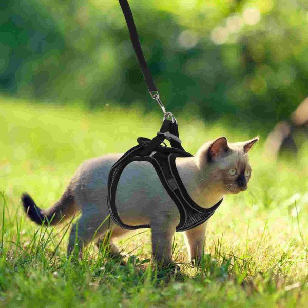 cat collars & leads 1 set harness leash traction rope and vest kit pet chest strap supplies
cat collars & leads 1 set harness leash traction rope and vest kit pet chest strap supplies