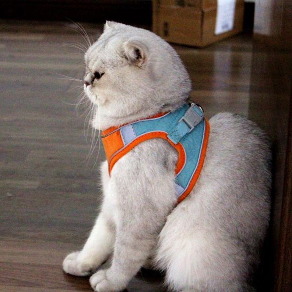 dog collars & leashes berry suede pet harness reflective breathable anti breaking loose cat leash small vest hand holding rope
dog collars & leashes berry suede pet harness reflective breathable anti breaking loose cat leash small vest hand holding rope