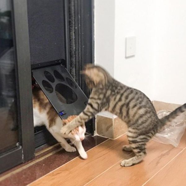 kennels & pens pet cat dog door safe lockable magnetic screen dogs cats window gate for pets y fashion pretty pattern easy install
kennels & pens pet cat dog door safe lockable magnetic screen dogs cats window gate for pets y fashion pretty pattern easy install