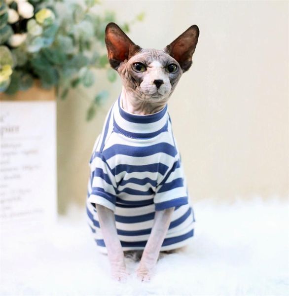 classic stripe cotton hairless cat outfits clothes spring summer apparel sphynx costumes
classic stripe cotton hairless cat outfits clothes spring summer apparel sphynx costumes