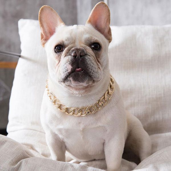 dog collars & leashes pet cat gold necklace collar p chain decoration gift dogs accessories punk po prop 37cm small large
dog collars & leashes pet cat gold necklace collar p chain decoration gift dogs accessories punk po prop 37cm small large