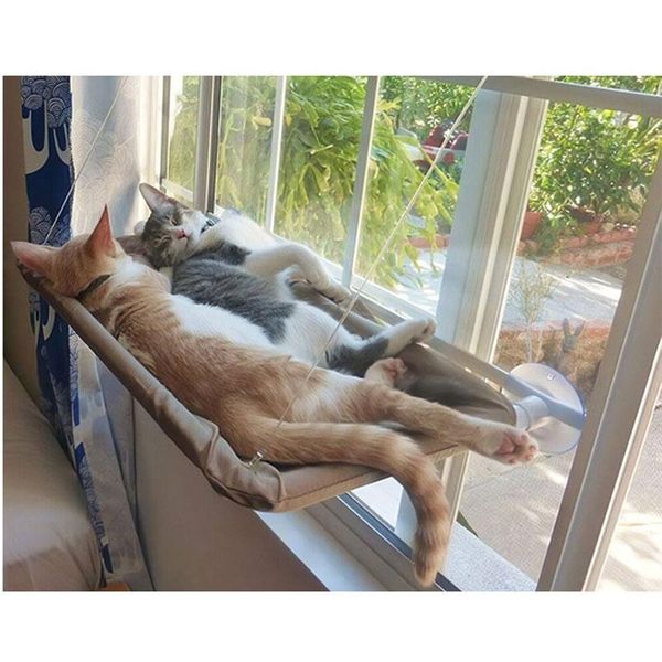 cat beds & furniture pet hammock bearing 20kg sunny seat window mount hanging bed comfortable long plush supplies
cat beds & furniture pet hammock bearing 20kg sunny seat window mount hanging bed comfortable long plush supplies