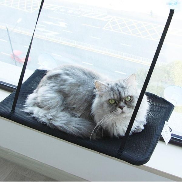 cat beds & furniture suction cup hanging bed sofa basking in the sun durable seat window hammock pets
cat beds & furniture suction cup hanging bed sofa basking in the sun durable seat window hammock pets
