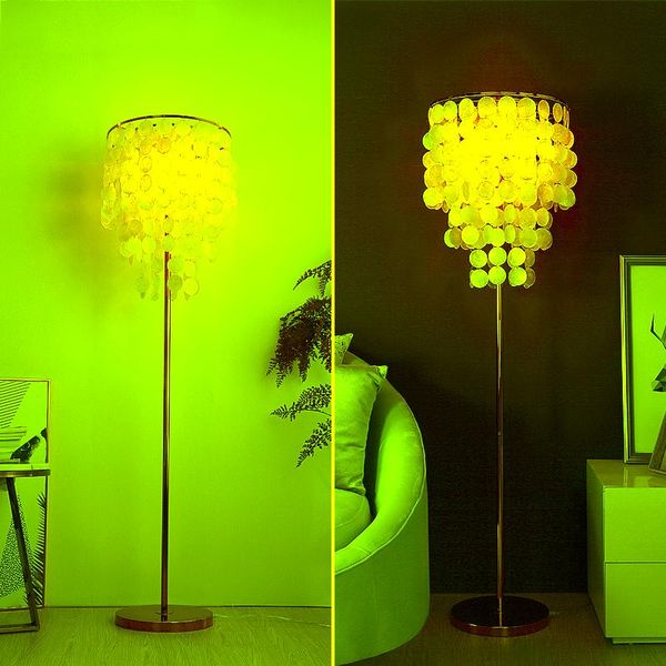 nordic modern contracted gold shell floor lamp bedroom bed sitting room ins minimalist light luxury creativity lamps
nordic modern contracted gold shell floor lamp bedroom bed sitting room ins minimalist light luxury creativity lamps