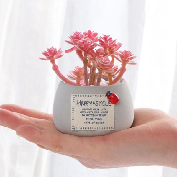 decorative flowers & wreaths fake succulents bonsai realistic everlasting mini cement simulation potted plant for home
decorative flowers & wreaths fake succulents bonsai realistic everlasting mini cement simulation potted plant for home