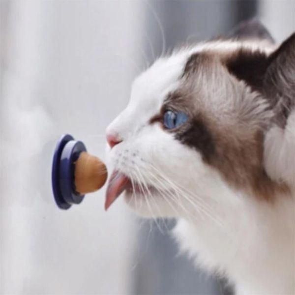 cat toys healthy cats treats lollipop sugar pet snack nutrition cream mint energy ball candy safe nontoxic
cat toys healthy cats treats lollipop sugar pet snack nutrition cream mint energy ball candy safe nontoxic