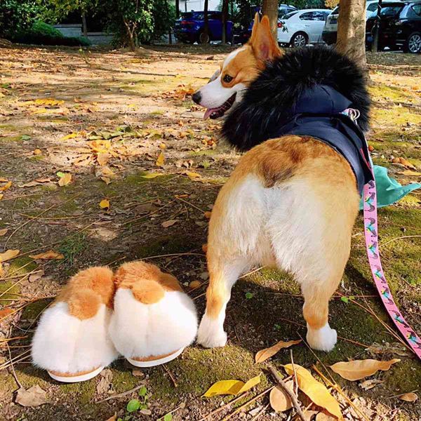 sandals posee original corgi butt slippers christmas gifts for girlfriend fluffy men cute faux fur warm women pet bed pillo cbd1, Black
sandals posee original corgi butt slippers christmas gifts for girlfriend fluffy men cute faux fur warm women pet bed pillo cbd1, Black