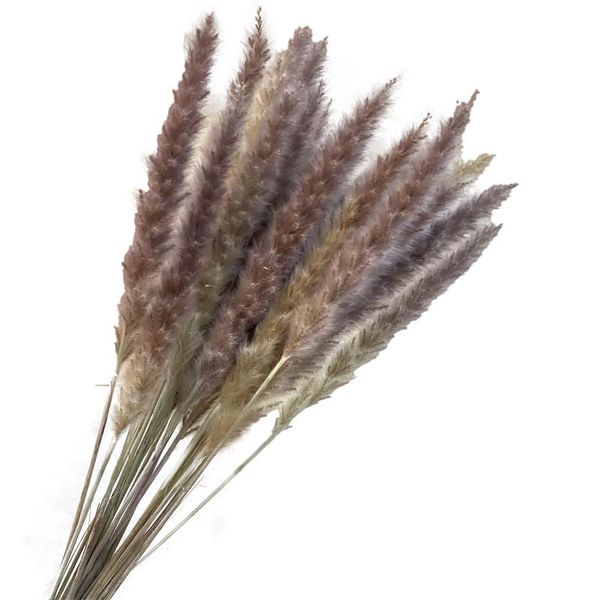 decorative flowers & wreaths plant decoration reed small pampas white dried air-dried display props
decorative flowers & wreaths plant decoration reed small pampas white dried air-dried display props