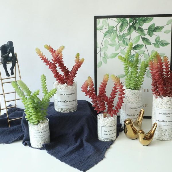 1pc 6 heads artificial plant succulents vivid plants for garden bonsai deskwedding decoration home decorative flowers & wreaths
1pc 6 heads artificial plant succulents vivid plants for garden bonsai deskwedding decoration home decorative flowers & wreaths