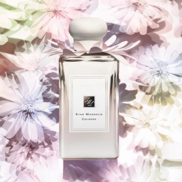 sales women men perfume fragrance star magnolia cologne 100ml for man woman long lasting time good quality high fragrance capactity parfum s
sales women men perfume fragrance star magnolia cologne 100ml for man woman long lasting time good quality high fragrance capactity parfum s