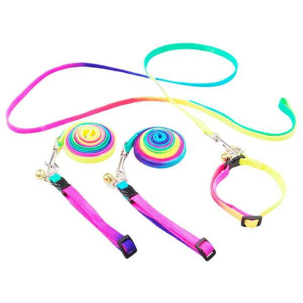 adjustable small pet dog leash for dogs puppy lead walk out hand strap collar cat product collars & leashes
adjustable small pet dog leash for dogs puppy lead walk out hand strap collar cat product collars & leashes