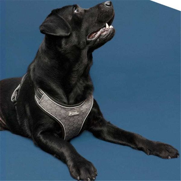 dog collars & leashes city walker dual drytek air mesh harness breathable vest nylon reflective soft pet for medium large dogs
dog collars & leashes city walker dual drytek air mesh harness breathable vest nylon reflective soft pet for medium large dogs