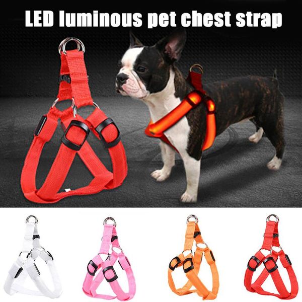 cat collars & leads usb rechargeable chest harness led pet dog glow flashing light-up night safety
cat collars & leads usb rechargeable chest harness led pet dog glow flashing light-up night safety