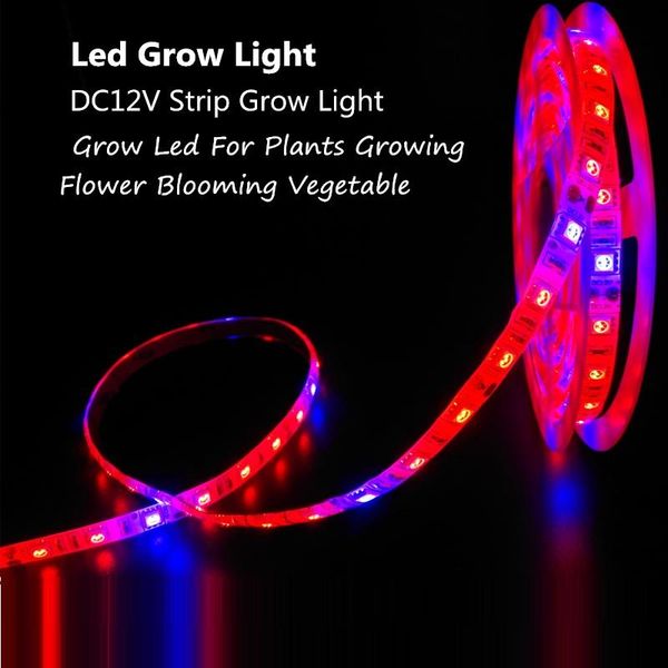 reblue grow strip fitolampy plant light dc12v led for plants phyto lamps full spectrum waterproof flowering lights
reblue grow strip fitolampy plant light dc12v led for plants phyto lamps full spectrum waterproof flowering lights