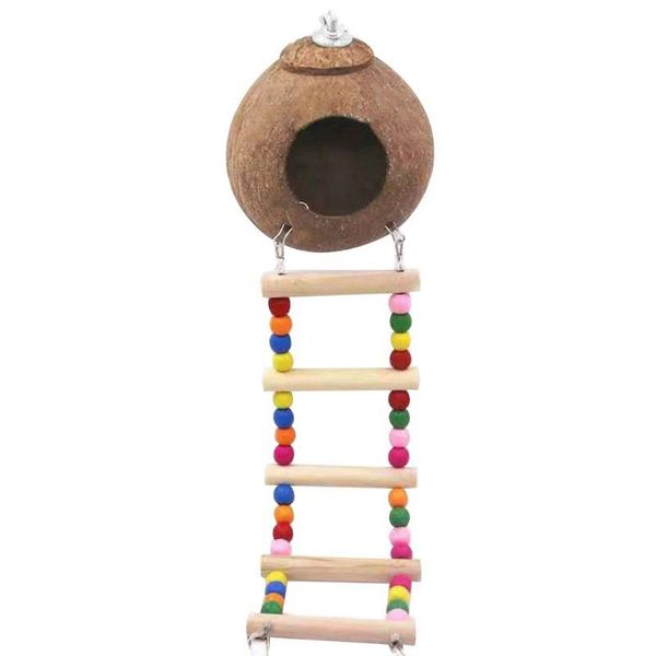 other bird supplies natural coconut shell nest house hut cage feeder pet parrot paraqueet toys d5bc
other bird supplies natural coconut shell nest house hut cage feeder pet parrot paraqueet toys d5bc