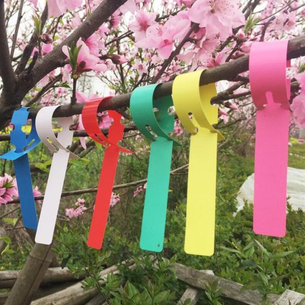 garden decorations 100pcs plant tags nursery label hanging tree markers seedling fruit trees signs prompt card classification tool
garden decorations 100pcs plant tags nursery label hanging tree markers seedling fruit trees signs prompt card classification tool