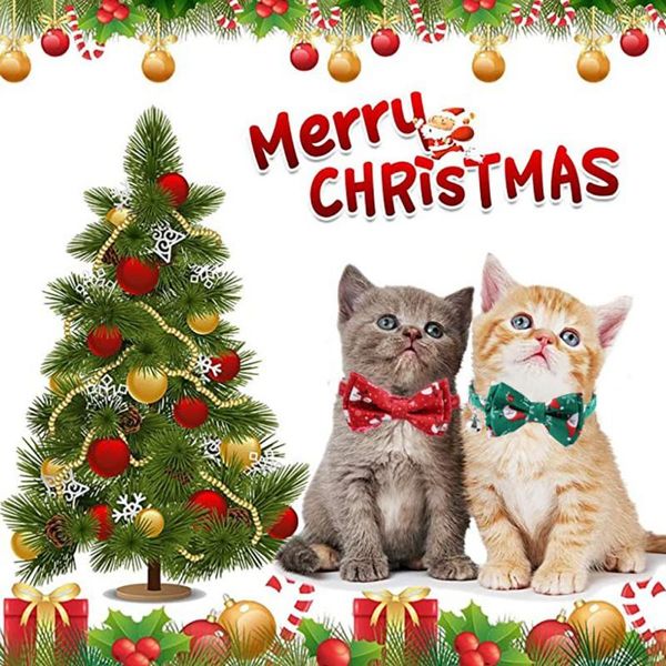 cat costumes cute christmas collar with removable bow tie and bell winter holiday breakaway buckle safety kitty kitten
cat costumes cute christmas collar with removable bow tie and bell winter holiday breakaway buckle safety kitty kitten