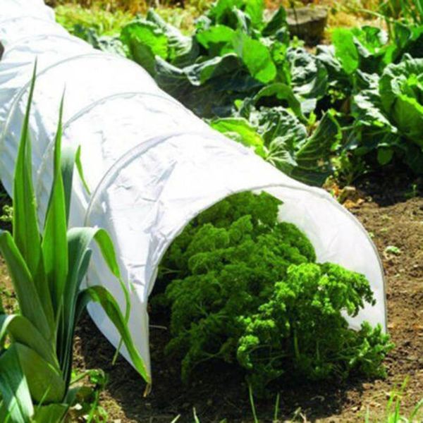 greenhouse tunnel foil plastic vegetable agricultural cultivation cover film waterproof anti-uv gardening planters & pots
greenhouse tunnel foil plastic vegetable agricultural cultivation cover film waterproof anti-uv gardening planters & pots