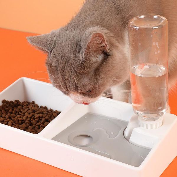 cat bowls & feeders food dish for dog pet supplies 2-in-1 bowl water feeder automatic dispenser kitten drinking fountain
cat bowls & feeders food dish for dog pet supplies 2-in-1 bowl water feeder automatic dispenser kitten drinking fountain