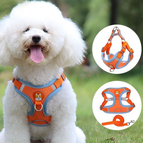 dog collars & leashes adjustable pet accessories reflective leash rope lead vest harness cat chest strap
dog collars & leashes adjustable pet accessories reflective leash rope lead vest harness cat chest strap