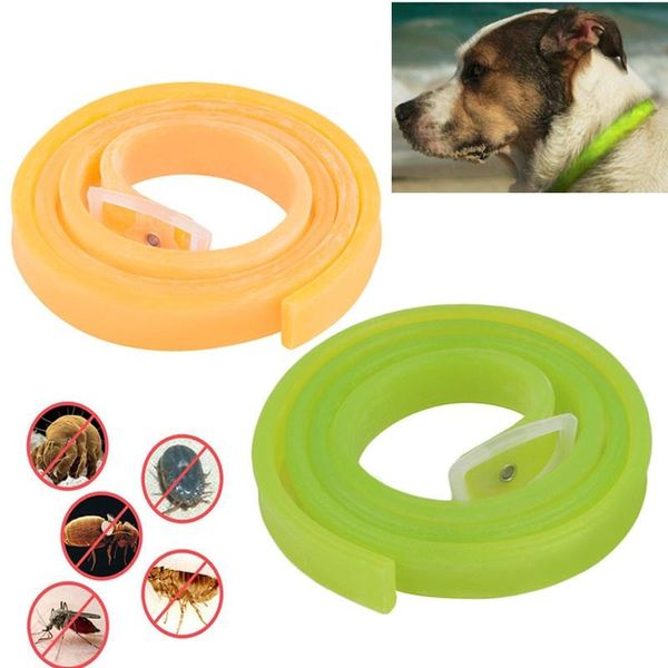 dog collars & leashes pest rejest pet collar arnes perro supplies flea insect repellent cat puppy products drop
dog collars & leashes pest rejest pet collar arnes perro supplies flea insect repellent cat puppy products drop