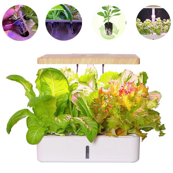 planters & pots 12hole hydroponic growth system kit box intelligent vegetables home indoor soilless cultivation equipment cultivator
planters & pots 12hole hydroponic growth system kit box intelligent vegetables home indoor soilless cultivation equipment cultivator