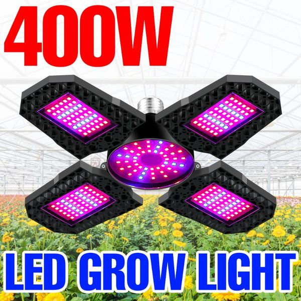bombilla led grow light phytolamp for plants e27 hydroponics lampara 220v plant seeds bulb 200 300 400w e26 110v growth tent lights
bombilla led grow light phytolamp for plants e27 hydroponics lampara 220v plant seeds bulb 200 300 400w e26 110v growth tent lights