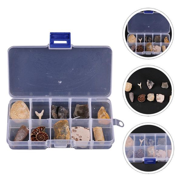 decorative objects & figurines 10pcs ancient fossil adornment deskornaments classroom teaching specimen
decorative objects & figurines 10pcs ancient fossil adornment deskornaments classroom teaching specimen