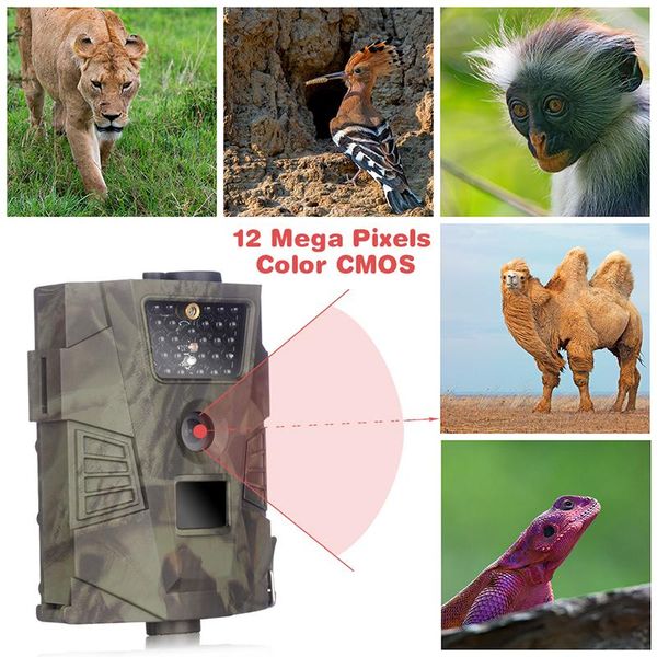 camcorders hunting trail camera hd 12mp stealth vision gprs scouting infrared for taking pos videos of wild animal
camcorders hunting trail camera hd 12mp stealth vision gprs scouting infrared for taking pos videos of wild animal