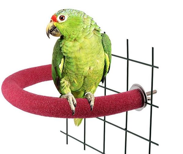 other bird supplies parrot toy pets u shape bar stand perch grinding claw sanding rod
other bird supplies parrot toy pets u shape bar stand perch grinding claw sanding rod